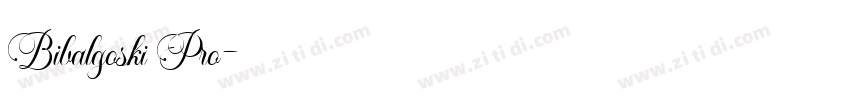 Bibalgoski Pro字体转换